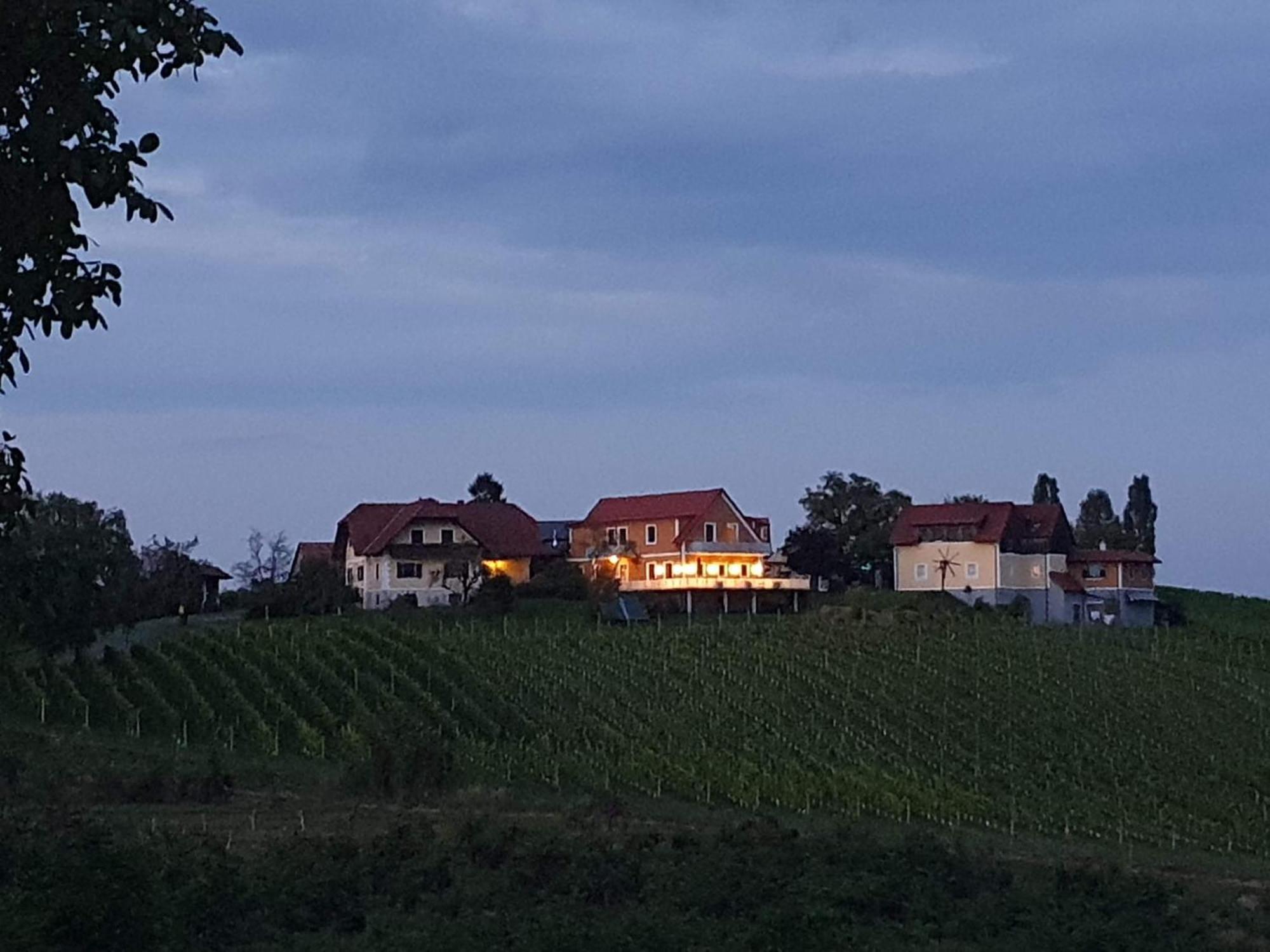 Bed and Breakfast Weinhof Reichmann à Sankt Peter am Ottersbach Extérieur photo